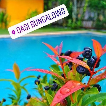 Oasi Bungalows Hotel Gili Air Eksteriør billede